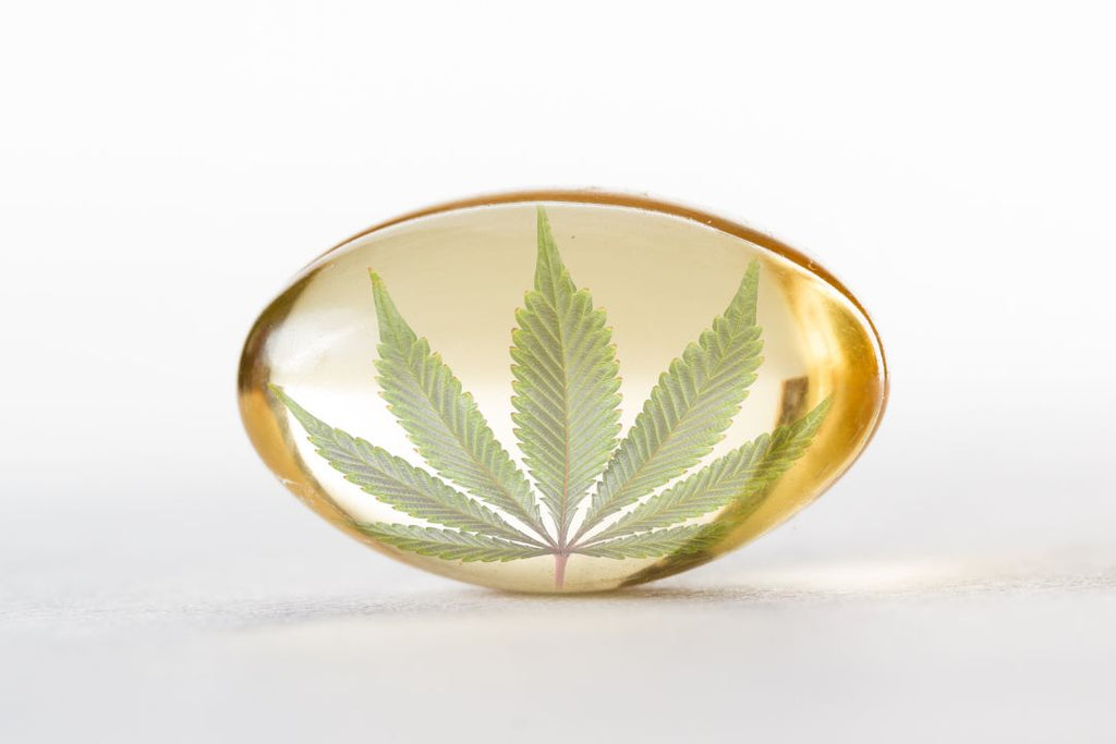 Understanding the effects of CBD Oil