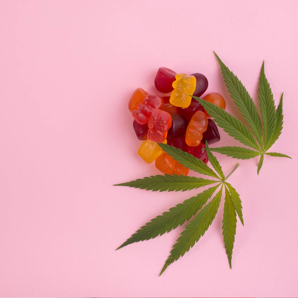 What is a CBD Gummy Good For - Gummy Bears near CBD