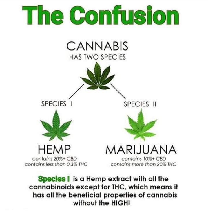 Differences between Hemp CBD and Marijuana
