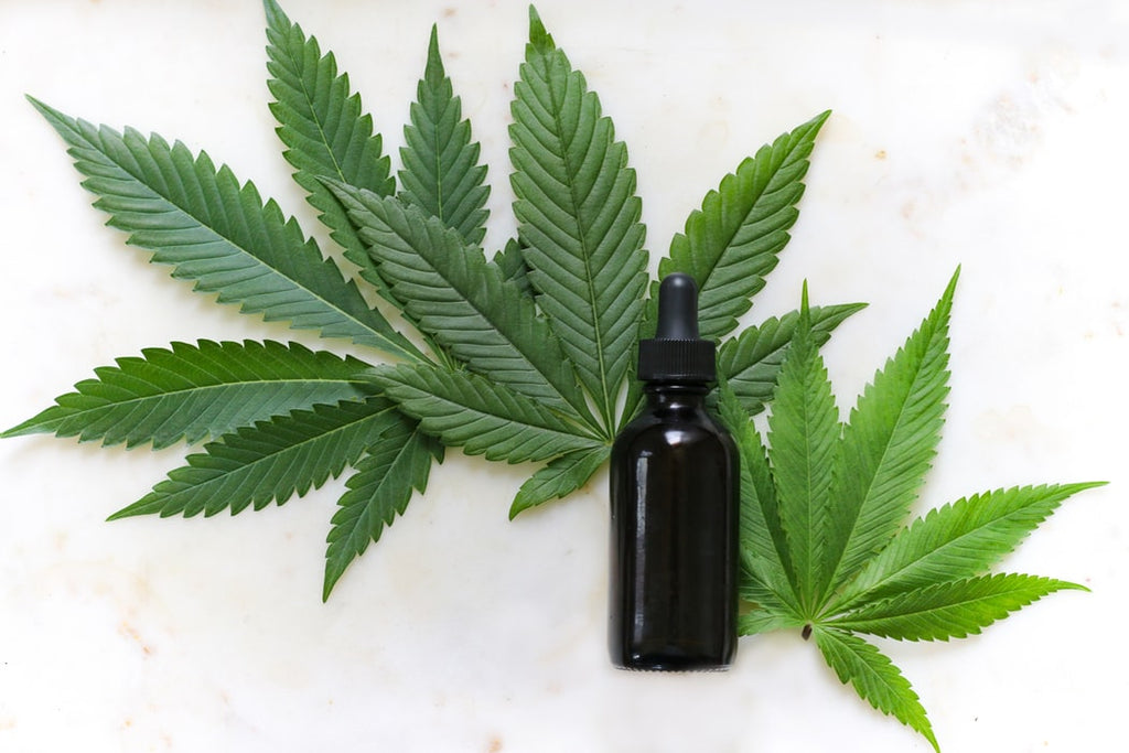 UK CBD industry growth Forecast